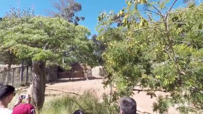 Real Mature Bombshell Gets Had Sex - upornia.com