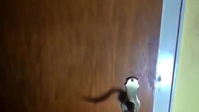 German Student - hclips.com - Germany