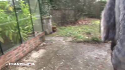 Mom Bourgeoise Shows Us Around Her Holes - hclips.com