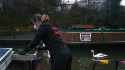 Pirate Jenny Strikes Again! - upornia.com