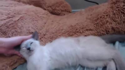 Alex Coal - Alex - Alex Coal In Yet Another - hclips.com