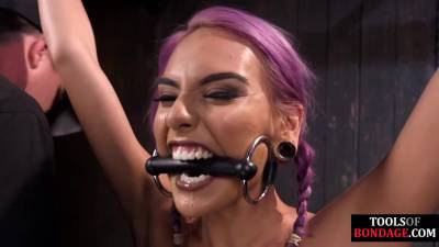 Bondage sub nipple clamped and toyed while bound by maledom - hotmovs.com