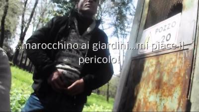 Zigeunerschwanz - nvdvid.com