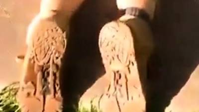 Man at work - icpvid.com