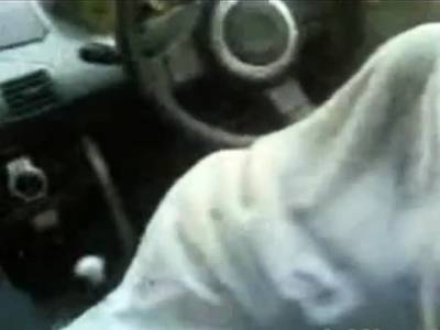 malay- tudung gen2 - nvdvid.com