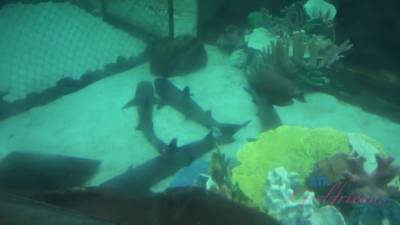 04 - 4k - Victoria Rae Black - upornia.com