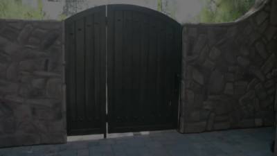 Genie Pussy Licker - hotmovs.com