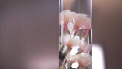 259luxu-1426 Jav Full Movie - hotmovs.com - Japan