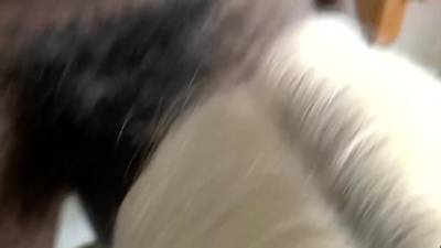 GRANNYLOVESBLACK - Black Stud Teasing Granny - nvdvid.com