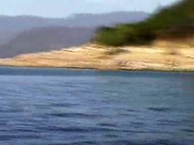 Horny Petite Teen Little April Performs Solo Outdoors - icpvid.com