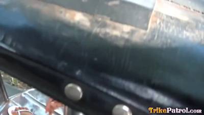 Trixie - Trixie 2 - hclips.com