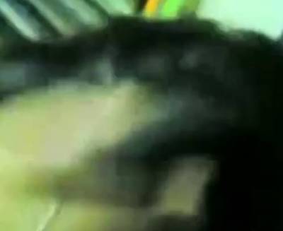 Malay Sex - nvdvid.com