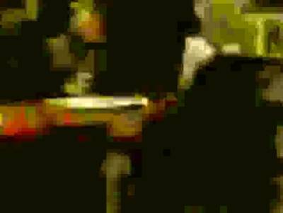 Andrea Obermeier - icpvid.com - Germany