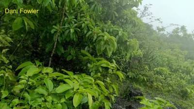 Happy Slut Loves To Please Master Every Where - hclips.com