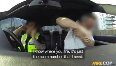 The Detective Inspect-Hers: Lovely Young Czech Escort Serviced - porntry.com - Czech Republic