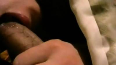 Minet - BG 070bg002 - Bulgarian minette - icpvid.com - Bulgaria