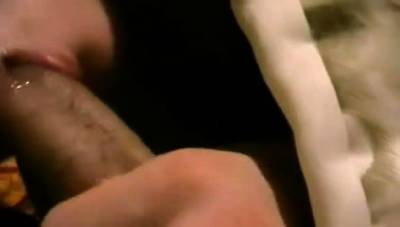 Minet - BG 070bg002 - Bulgarian minette - icpvid.com - Bulgaria