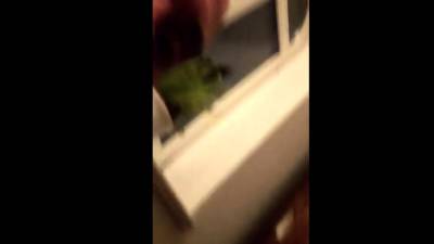 German Grandpa sucked by serbian boy - icpvid.com - Germany - Serbia