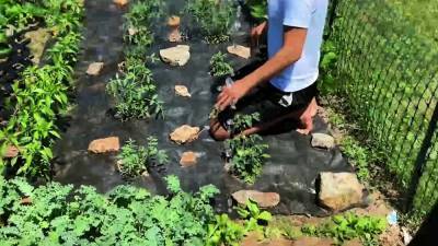 Men.com - Bruno Cartella, Ty Shine - nvdvid.com