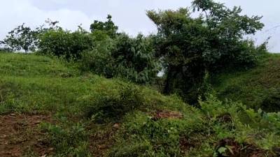 Love The Way You Move Your Natural Tits & Ass - Being Slut In Public - hclips.com