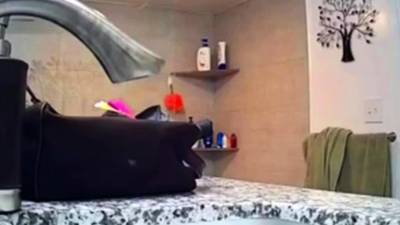 all natural those big melons of my sister - icpvid.com