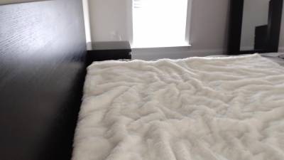 Alexis Zara In Solo Cream Pie - hclips.com