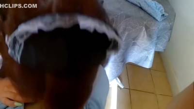 Maid Catches Boss Masturbating And Gives Him A Help - hclips.com