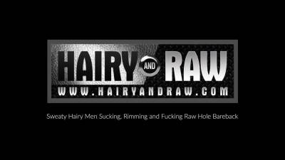 HAIRYANDRAW Bears John Thomas And Lion Reed Bareback Hard - nvdvid.com