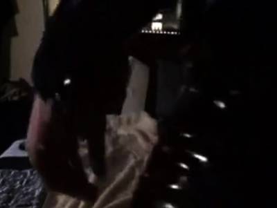 Puppy latex self bondage - icpvid.com