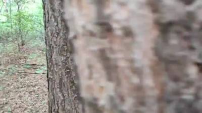 Beautiful Chick Caught In The Woods - hclips.com