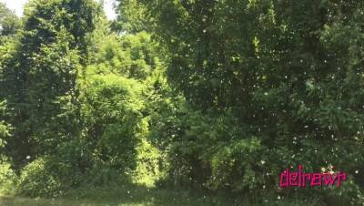 POV Outdoor Blow By the River After Working Out - porntry.com