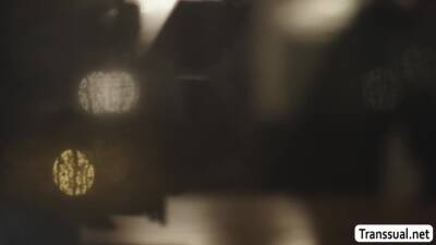 Smalltits shemale barebacked by stepdad - fetishpapa.com