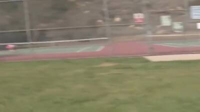 Brianna Love - Scopa Un Cazzo Nero Nella Sua Figa Stretta - upornia.com