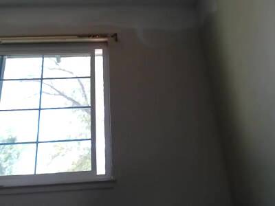 Aurora Willow Pussy Slapping - hclips.com