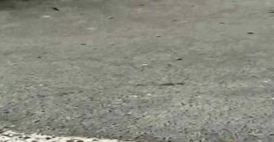 Elegant exotic young cutie gets annihilated - nvdvid.com - Thailand