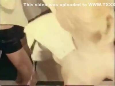 Ein Spitzer Degen (love Video) - upornia.com