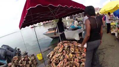 Clubjanacova - Guadeloupe Vacation Video - hclips.com