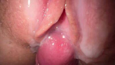 Cumshot Compilation - hclips.com