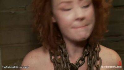 Boxed Head Babe Cattle Prodded - upornia.com