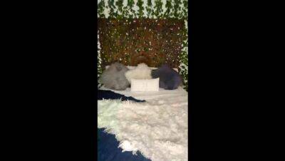 Jessa Rhodes - Live Streaming - porntry.com