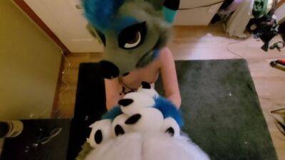 Sexy Furry Girl Gives Head & Gets Fucked As A Reward - hclips.com