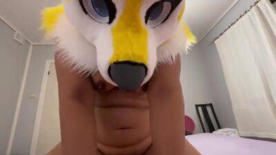 Taking My Pup For A Ride ♀️ - hclips.com