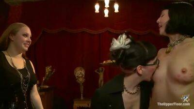 Anal Party - upornia.com