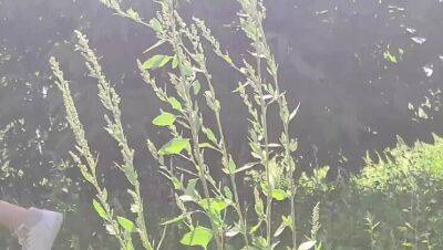 Girl Pissing Outdoor - veryfreeporn.com