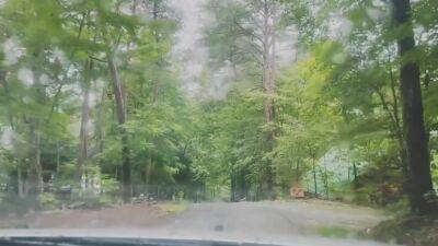 The Cabin - upornia.com