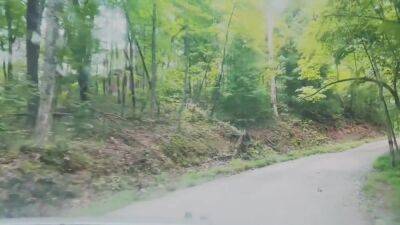 The Cabin - upornia.com