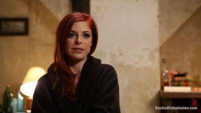 The Assassins Dilemma - upornia.com