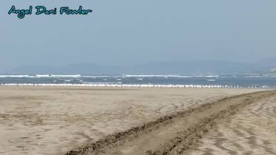 Blonde In Topless On A Nude Beach Hd - upornia.com