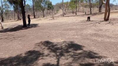 Chica En El Bosque - upornia.com