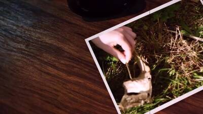 Sloppy BJ and rough ass fucking by the splashing sea - icpvid.com